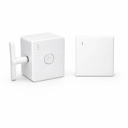 SmartSwitch Wireless Remote